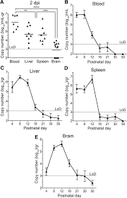 Image result for Vcd Ttc