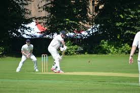 Image result for Hillhead Cricket Club