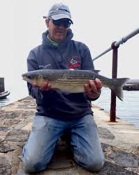 Image result for Bideford and District Angling Club