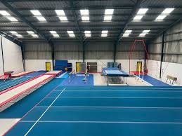 Image result for Treasure Gymnastics