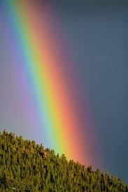 Znalezione obrazy dla zapytania rainbow