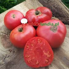 Afbeeldingsresultaat voor brandywine sudduth tomato