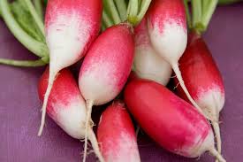 Attēlu rezultāti vaicājumam “Raphanus sativus”