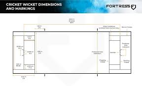Image result for Pitch marking blog