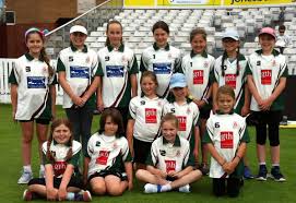 Image result for Chard Cricket Club