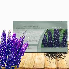 Attēlu rezultāti vaicājumam “Delphinium elatum  bud”