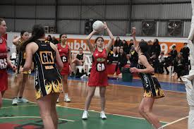 Image result for Astley Netball Club