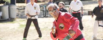 Image result for America's Best Karate Chandler