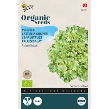 Image result for Pflücksalat