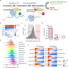 Image result for The 3E`s Ttc