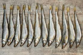 Image result for Osmerus mordax