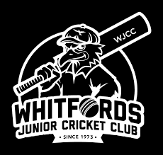 Image result for Winford Cricket Club