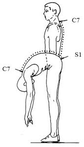 Image result for Breckland Forest Gymnastics Club 2004