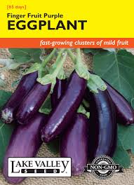 Afbeeldingsresultaat voor fengyuan purple eggplant
