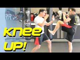 Image result for Dallo Martial Arts