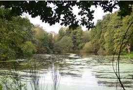 Image result for City Of London Piscatorial Society