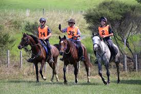 Image result for Woodhill Riding Club