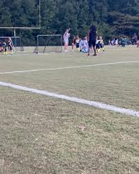 Image result for Herdings Park Football Club