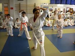 Image result for Middletown Martial Arts Dojo