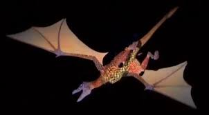 Image result for HAINAULT & CHIGWELL CHANGQUAN FLYING DRAGON