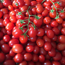 Afbeeldingsresultaat voor principe borghese tomato