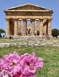 Image result for paestum