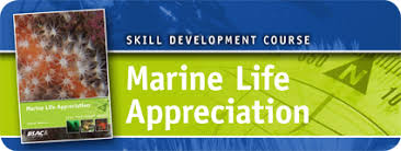 Image result for Guildford Bsac