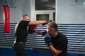 Image result for Combined self defence arts