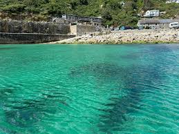 Image result for Mole Valley Sub Aqua Club