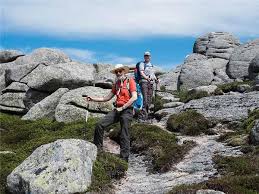 Image result for Group Senzala Scotland