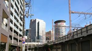 「桃井桜 サムライフラメンコ」の画像検索結果