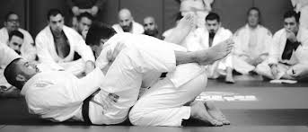 Image result for Bully Me Now Mixed Martial Arts