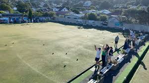 Image result for Island Bohemian Bowls Club