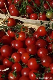 Afbeeldingsresultaat voor rose quartz tomato