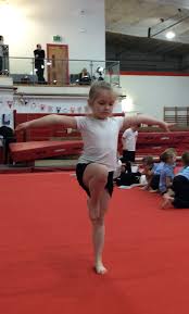 Image result for Stockport School Of Gymnastics