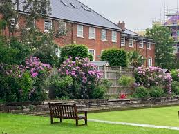 Image result for Cobham Bowling Club