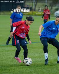 Image result for Melbourne United Football Club