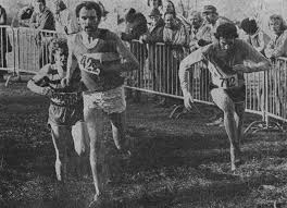 Image result for Dudley and Stourbridge Harriers Athletics Club