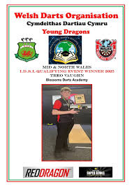 Image result for Clwyd County Darts Club