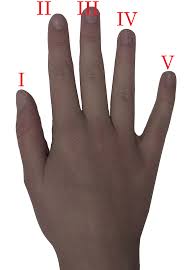 Znalezione obrazy dla zapytania palec