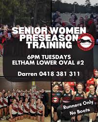 Image result for Eltham Panthers