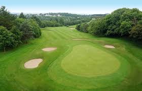 Image result for Newton Abbot Somersaults Gc