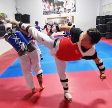 Image result for National Forest Taekwon-do