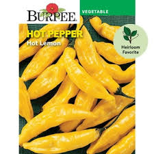 Afbeeldingsresultaat voor thai yellow hot pepper