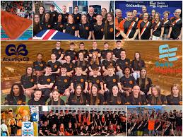 Image result for Basildon Sc