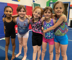 Image result for Focus Institute of Gymnastics