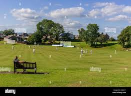 Image result for Checkendon Cricket Club