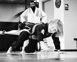 Image result for Beeches Martial Arts
