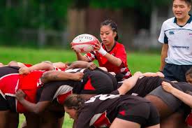 Image result for Scarborough Rugby Union Football Club