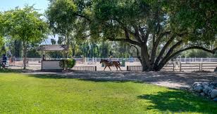 Image result for Fife Riding Club